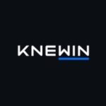 Knewin